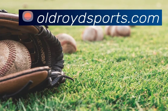 体育下注平台生态图