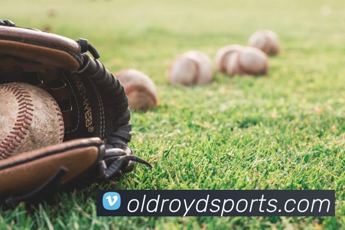 体育下注APP 封面图